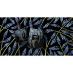 NEST WISTERIA BLUE для женщин flaconium.ru