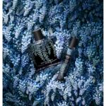 NEST WISTERIA BLUE для женщин flaconium.ru