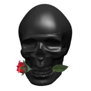 CHRISTIAN AUDIGIER ED HARDY SKULLS & ROSES FOR HIM для мужчин flaconium.ru