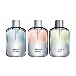 ERMENEGILDO ZEGNA Z ZEGNA SHANGHAI для мужчин flaconium.ru