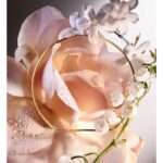 LANCOME ABSOLUE 6AM ROSE для женщин flaconium.ru