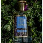 THE WOODS COLLECTION AZURE унисекс flaconium.ru