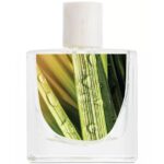 SKYLAR SUN SHOWER EAU DE PARFUM для женщин flaconium.ru