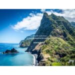 THE WOODS COLLECTION PANORAMA унисекс flaconium.ru