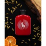 RALPH LAUREN POLO RED REMIX для мужчин flaconium.ru