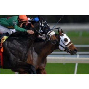 MILANO FRAGRANZE DERBY унисекс flaconium.ru