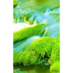 HERVE GAMBS PARIS ICE RIVER унисекс flaconium.ru