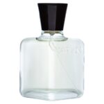 ROBERTO CAPUCCI EVENTO UOMO для мужчин flaconium.ru