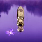 SPIRIT OF KINGS TABANA унисекс flaconium.ru