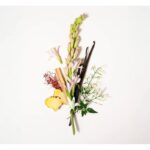 HISTOIRES DE PARFUMS TUBEREUSE NUIT BLANCHE унисекс flaconium.ru