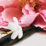 CHLOE CHLOE L’EAU DE PARFUM LUMINEUSE для женщин flaconium.ru