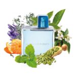 MANDARINA DUCK FOR HIM для мужчин flaconium.ru