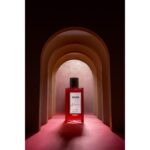 PARADIS DES SENS NIRVANA унисекс flaconium.ru