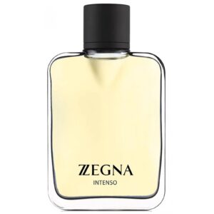 ERMENEGILDO ZEGNA ZEGNA INTENSO для мужчин flaconium.ru