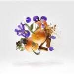 XERJOFF P.33 BLANK PAGE EDITION унисекс flaconium.ru