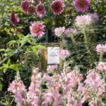 CELINE UN ETE FRANCAIS унисекс flaconium.ru