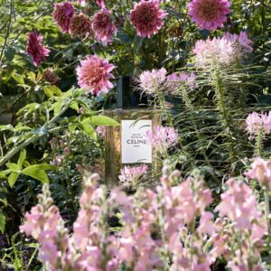 CELINE UN ETE FRANCAIS унисекс flaconium.ru