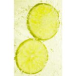 HERVE GAMBS PARIS ICE LEMON унисекс flaconium.ru