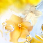 LANCOME O ZENITH для женщин flaconium.ru