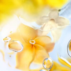 LANCOME O ZENITH для женщин flaconium.ru