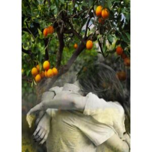 PROFUMUM ROMA ORANGEA унисекс flaconium.ru