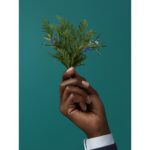 ERMENEGILDO ZEGNA ROMAN WOOD для мужчин flaconium.ru