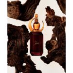 CHRISTIAN LOUBOUTIN LOUBILUNA унисекс flaconium.ru