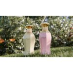 AFNAN KIAANA CRUSH для женщин flaconium.ru