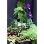 ESSENTIAL PARFUMS VELVET IRIS унисекс flaconium.ru