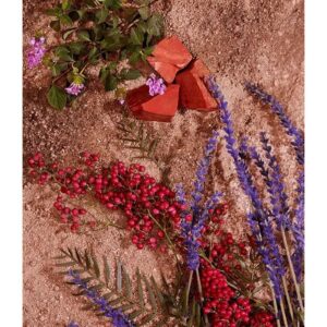 MARC JACOBS DAISY EAU SO FRESH PARADISE LIMITED EDITION EAU DE TOILETTE для женщин flaconium.ru