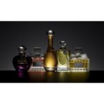 DIOR POISON EXTRAIT DE PARFUM для женщин flaconium.ru