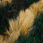 MILLER HARRIS MINEIR унисекс flaconium.ru