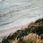 MILLER HARRIS MINEIR унисекс flaconium.ru