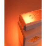 INITIO PARFUMS PRIVES LIFT ME UP унисекс flaconium.ru