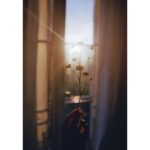 MAISON DE L’ASIE LOST LOVERS унисекс flaconium.ru