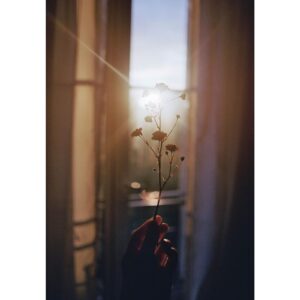 MAISON DE L’ASIE LOST LOVERS унисекс flaconium.ru