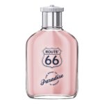 ROUTE 66 THE ROAD TO PARADISE IS ROUGH для мужчин flaconium.ru