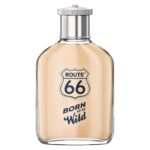 ROUTE 66 BORN TO BE WILD для мужчин flaconium.ru