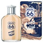 ROUTE 66 BORN TO BE WILD для мужчин flaconium.ru