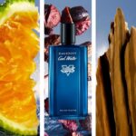 DAVIDOFF COOL WATER STREET FIGHTER CHAMPION SUMMER EDITION FOR HIM для мужчин flaconium.ru