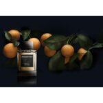 ERMENEGILDO ZEGNA SICILIAN MANDARIN для мужчин flaconium.ru