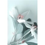 COURREGES LA FILLE DE L’AIR IRIS для женщин flaconium.ru