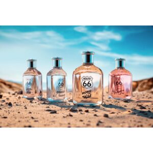 ROUTE 66 BORN TO BE WILD для мужчин flaconium.ru