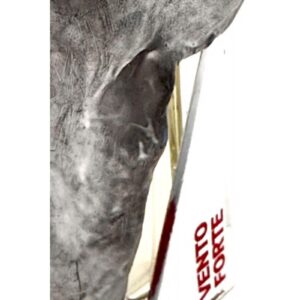 FILIPPO SORCINELLI VENTO FORTE EXTRAIT DE PARFUM унисекс flaconium.ru