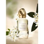 DONNA KARAN CASHMERE & TUNISIAN NEROLI для женщин flaconium.ru