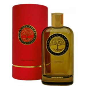 DIVINA TERRA 07 INTESA унисекс flaconium.ru