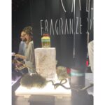 CALE FRAGRANZE D’AUTORE ARCHILIBRIUM унисекс flaconium.ru