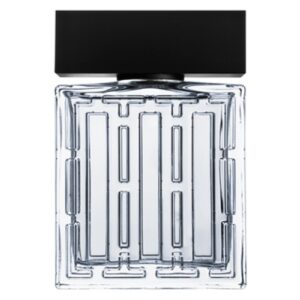 LOUIS FERAUD AQUA для мужчин flaconium.ru