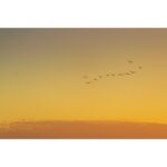 MAISON DE L’ASIE RIVIERE SIAM унисекс flaconium.ru