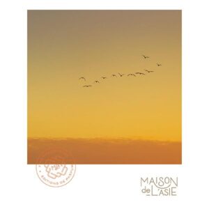 MAISON DE L’ASIE RIVIERE SIAM унисекс flaconium.ru